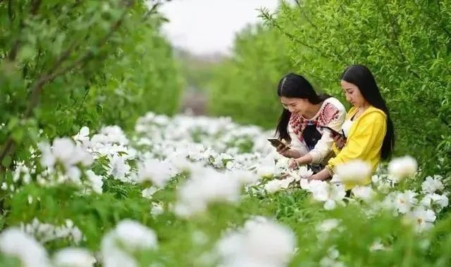 漲姿勢！農業人必知的18種農業類型