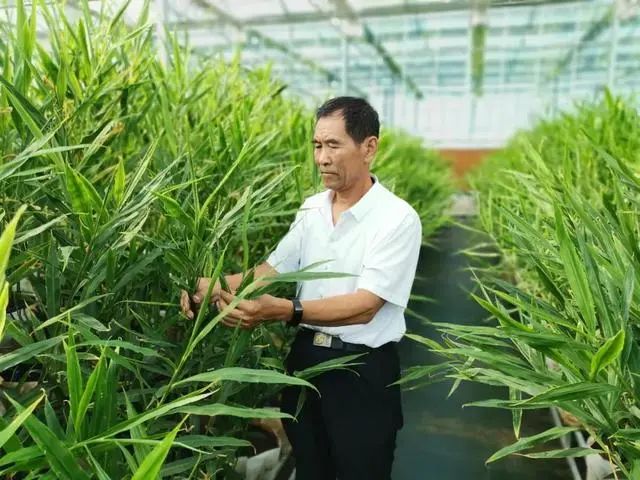 三農日報|農業農村部：加大農作物、畜禽良種攻關；90%有機農場處于虧損狀態