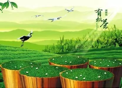 有機農業：大勢所趨，人心所向！