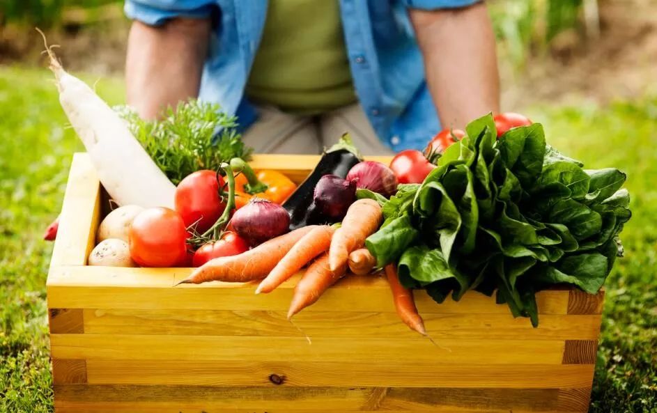 一家有機農(nóng)業(yè)企業(yè)失敗復盤（9大原因，你也正面臨）