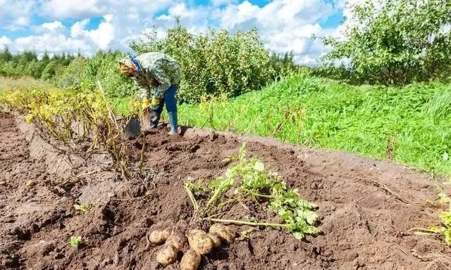 【經(jīng)驗復盤】有機農(nóng)業(yè)的“7”種誤解！顛覆你對有機農(nóng)業(yè)的看法