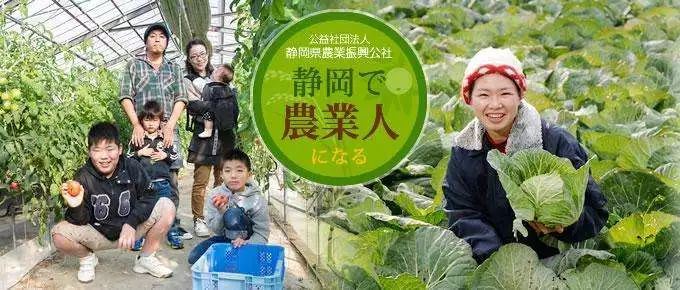 【模式研究】“小而美”的日本有機農業模式