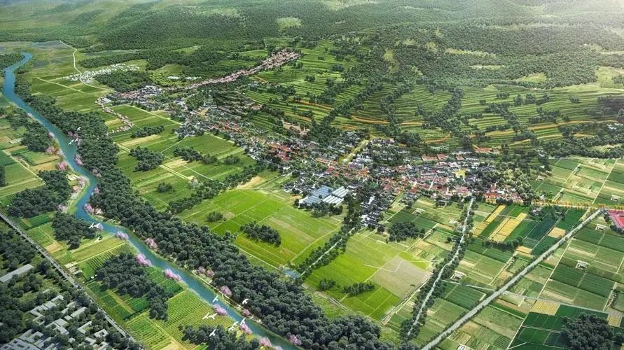 【有機農業】鄉村振興背景下，有機農業3.0時代的思考