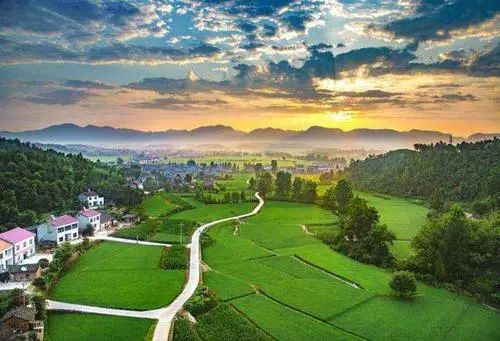 【有機農業】央視報道：有機農業助力鄉村振興