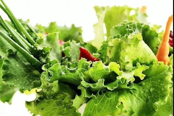 【有機農業】我國有機農業國家標準 （建議收藏）