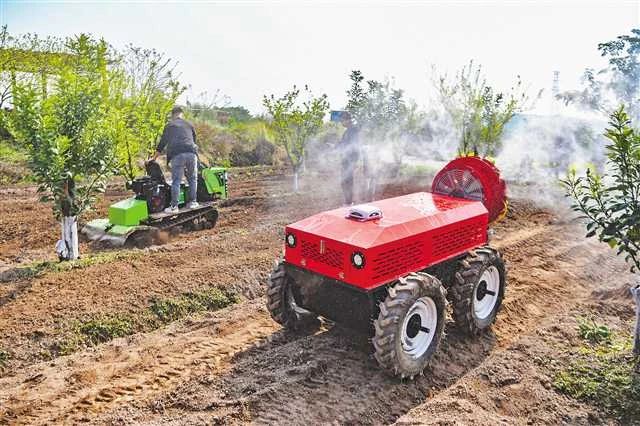 【縣域農業(yè)案例】重慶農業(yè)：無人化作業(yè)，有機蔬菜種墻上，生豬住進電梯房