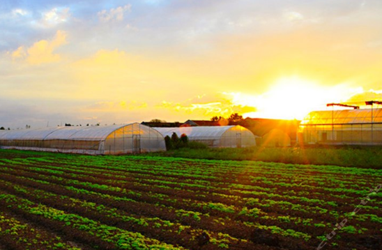 三農日報|政策：農業經營主體金融支持；報告：我國有機農業進入快速發展時期