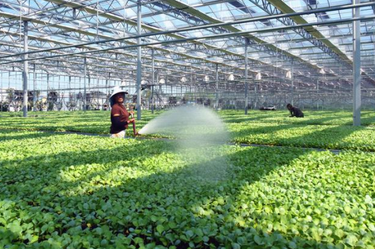 三農日報|政策：培育設施農業新產業新業態；業內：有機農產品競爭激烈