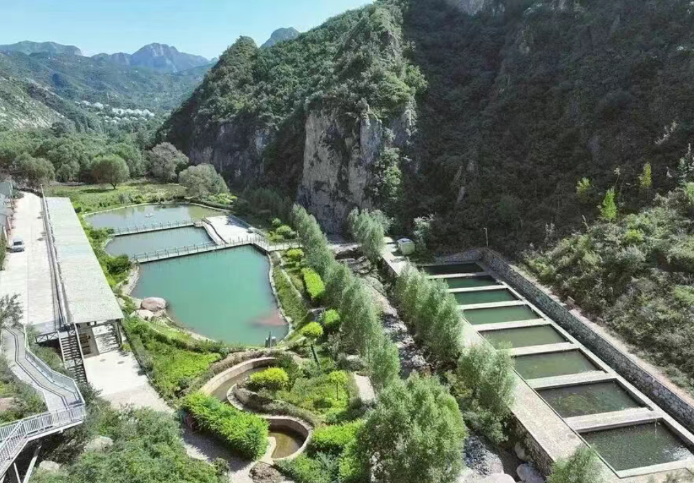 【有機農業案例】深度解析有機農業的“車河模式”