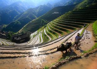 農(nóng)業(yè)和旅游有機結(jié)合的8種方式，你曉得嗎？