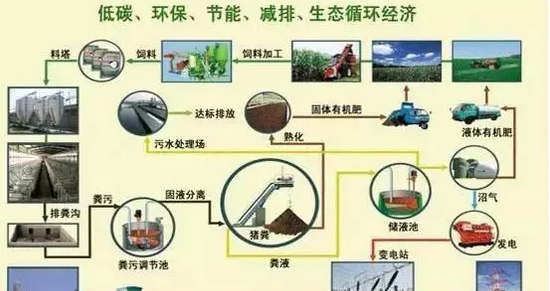 種養結合，真如你想的那么簡單？