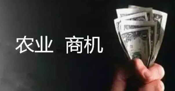 震驚！中國(guó)未來20年最大的商機(jī)是農(nóng)業(yè)...