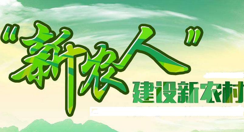 土豆姐姐、王小幫、柚子大王、豪豬大哥：2017年如何做一位賺錢的新農人