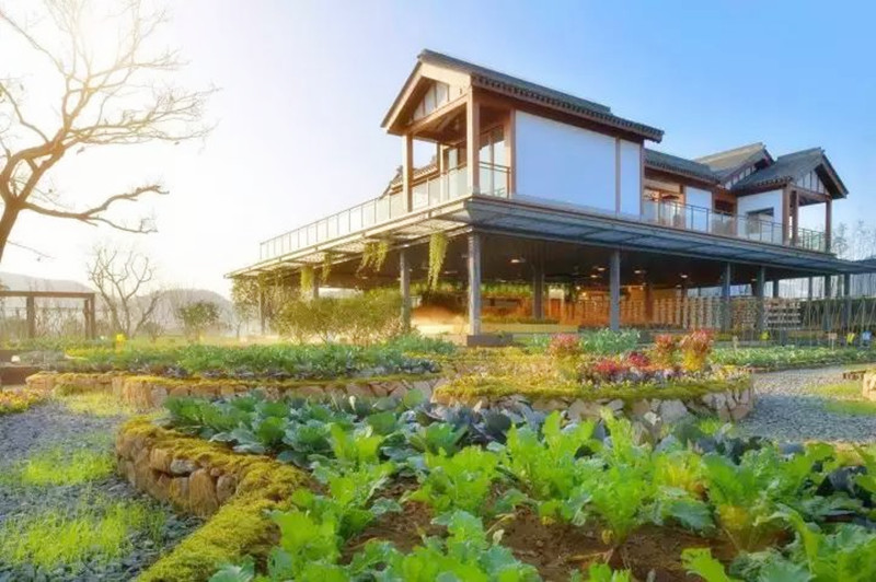 干貨|房地產商殺向農業玩法大揭秘：4大思維讓你不掉隊！