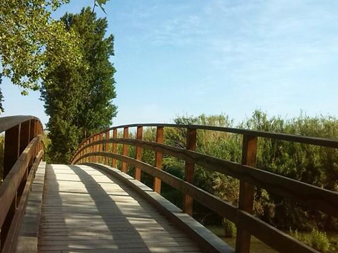 農村創業慘敗的一些原因，想掙錢腦袋要清醒！