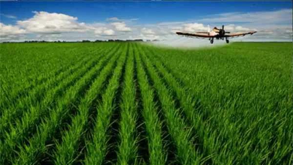 【深度分析】農(nóng)業(yè)創(chuàng)業(yè)，炮灰中的炮灰，中毒的都是這8種！