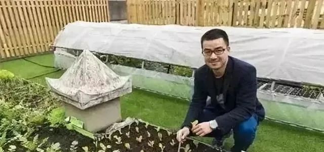 【案例】90后山東農(nóng)民1.2萬起步創(chuàng)業(yè)，如今靠直播種菜年入70萬