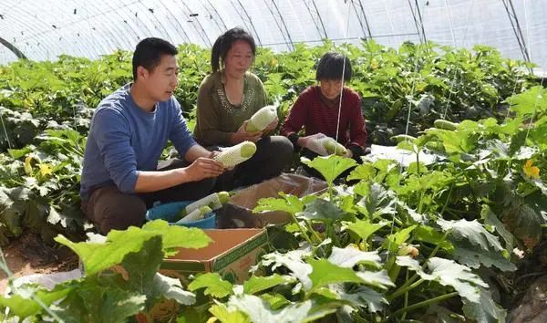 【政策解讀】國家發改委：允許入鄉就業創業人員落戶并享有相關權益