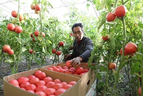 政策加碼！返鄉創業企業迎來5大機會，個個都是剛需