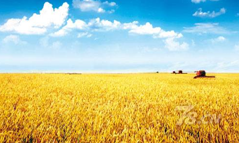 【返鄉(xiāng)創(chuàng)業(yè)】如何支持返鄉(xiāng)下鄉(xiāng)創(chuàng)業(yè)？如何破解痛點難點？國家發(fā)改委推廣這些經驗