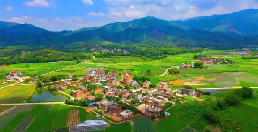 【返鄉(xiāng)創(chuàng)業(yè)】鄉(xiāng)村振興背景下，農(nóng)民工返鄉(xiāng)創(chuàng)業(yè)，面臨的困境和機(jī)會有哪些？