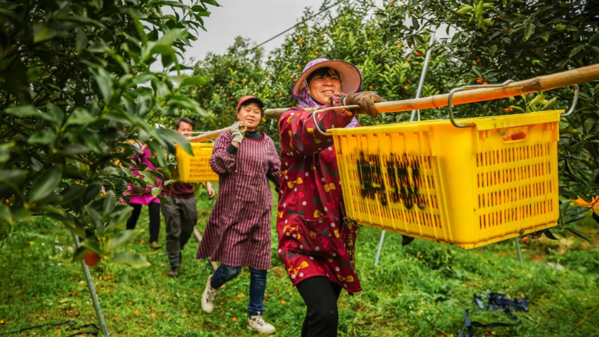 【農(nóng)業(yè)項目】農(nóng)村8個特色創(chuàng)業(yè)好項目，利潤都不低！