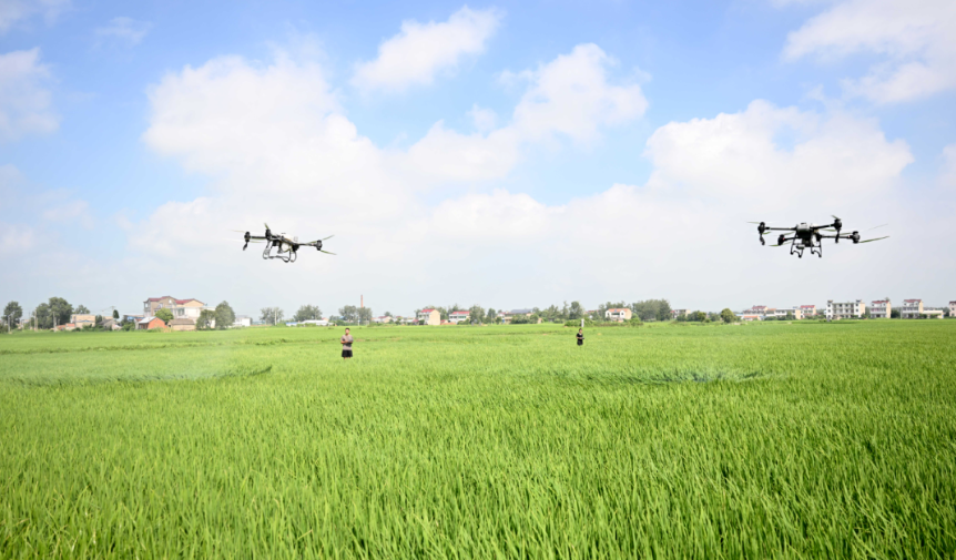 【農(nóng)業(yè)創(chuàng)業(yè)】小投入大回報：農(nóng)村創(chuàng)業(yè)項目的選擇與策略分析