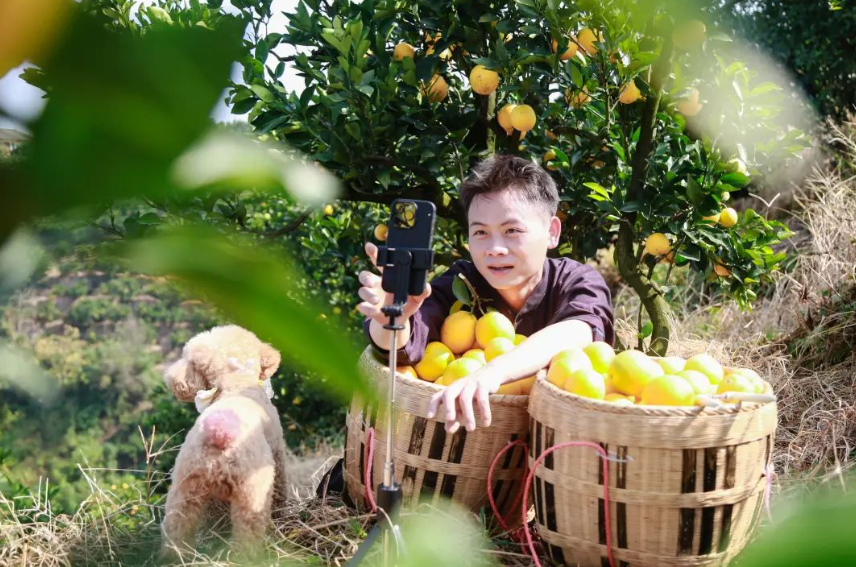 【創(chuàng)業(yè)】事關(guān)創(chuàng)業(yè)！人社部等7部門聯(lián)合印發(fā)重磅意見