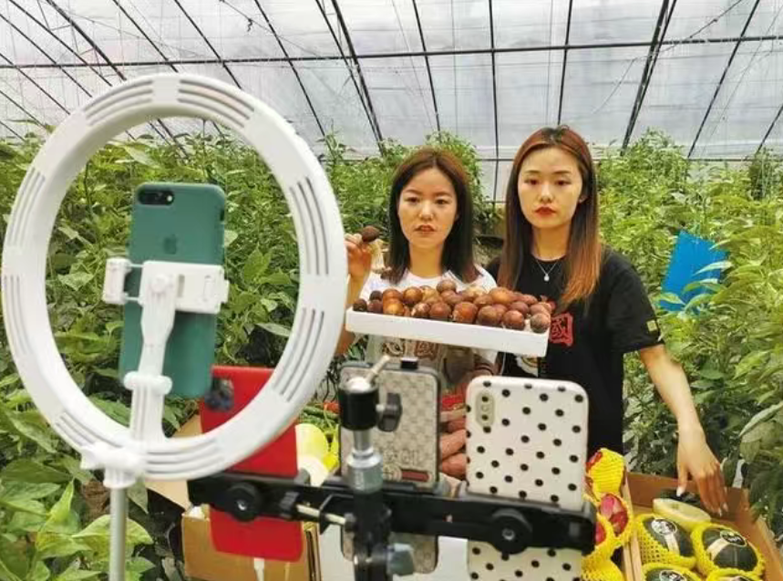 政策扶持+實戰(zhàn)經(jīng)驗：返鄉(xiāng)創(chuàng)業(yè)者的生存指南