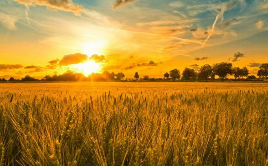 【政策解讀】事關(guān)農(nóng)業(yè)、返鄉(xiāng)創(chuàng)業(yè)！這些補(bǔ)貼政策，你都知道嗎？