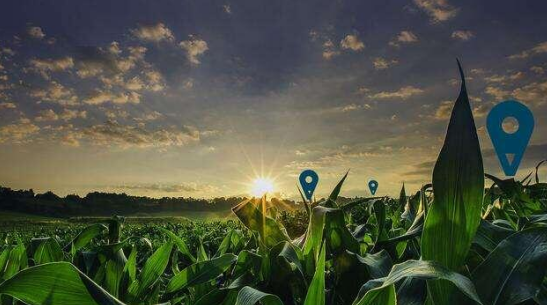 “元宇宙+農(nóng)業(yè)”如何改變農(nóng)業(yè)？這里有3條路徑值得探討