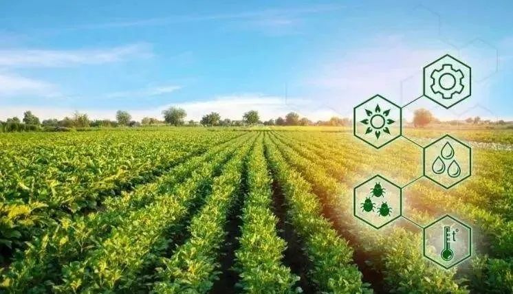 【農(nóng)業(yè)科技】如何理解農(nóng)業(yè)元宇宙？沒搞懂就是一場偽命題